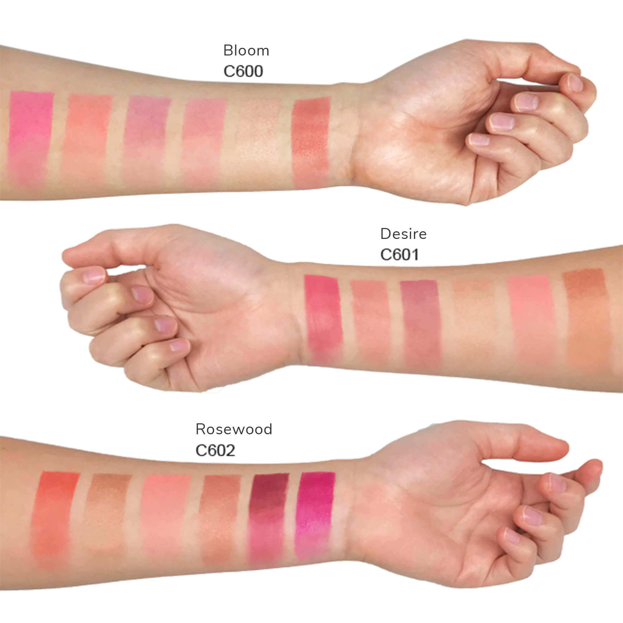 Blush Palette Desire